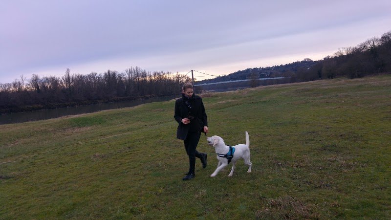 Lien Canin Capucine PATUREL VERNAISON