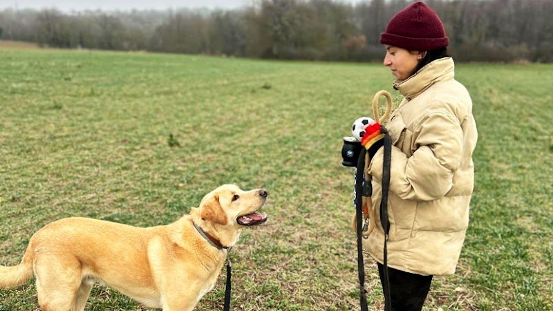Animole - Comportementaliste animalier et Educateur Canin - photo 1