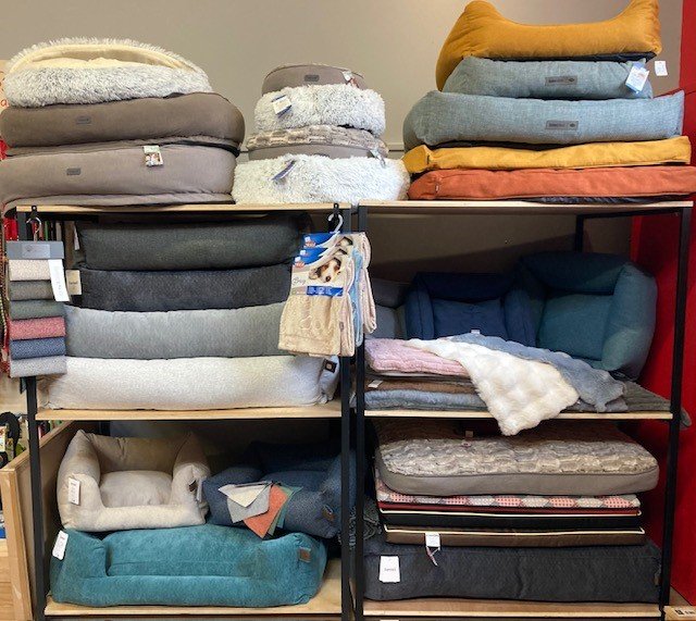 CANALDOG ANSE - photo 3