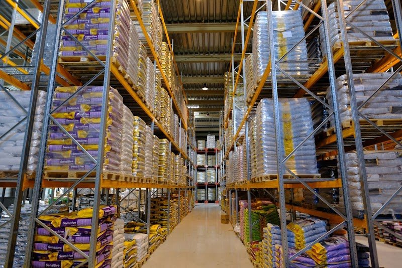 Original Dog - photo 2