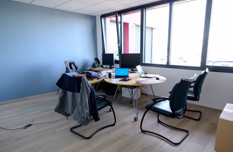 Original Dog - photo 3