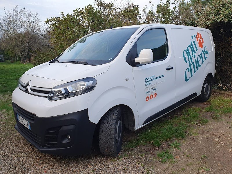 Optichiens - photo 3