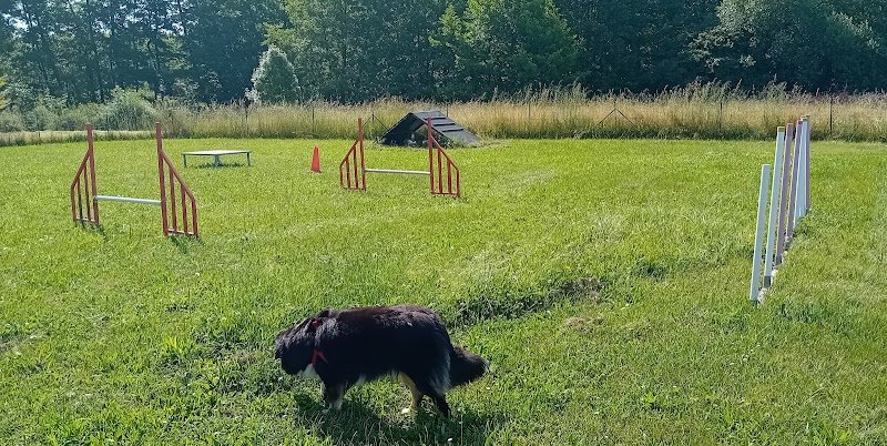 Club Canin de Simandres (CCEUS)