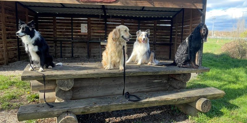 Club Canin de Simandres (CCEUS) - photo 2