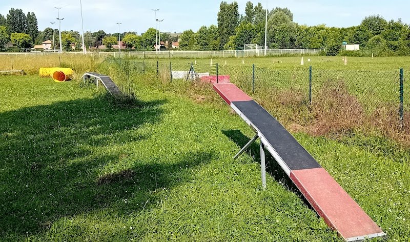 Club Canin de Simandres (CCEUS) - photo 3