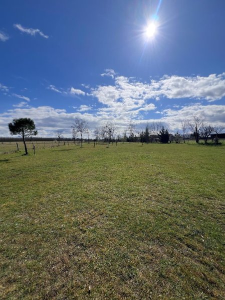 Le Jardin Canin - Garderie canine du Beaujolais