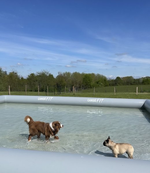 Le Jardin Canin - Garderie canine du Beaujolais - photo 2