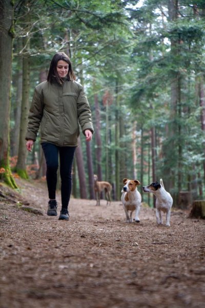 Le Jardin Canin - Garderie canine du Beaujolais - photo 3