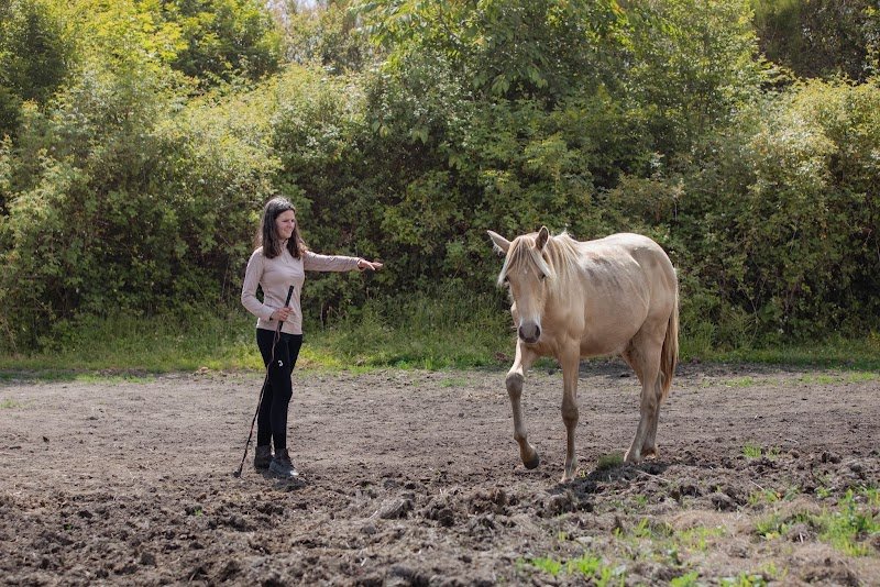 Chloé Deschamps, Comportementaliste équin - photo 1
