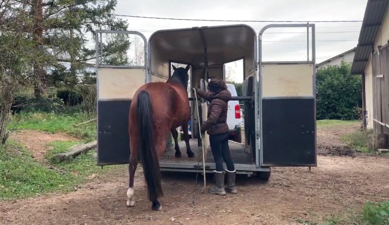 Chloé Deschamps, Comportementaliste équin - photo 3