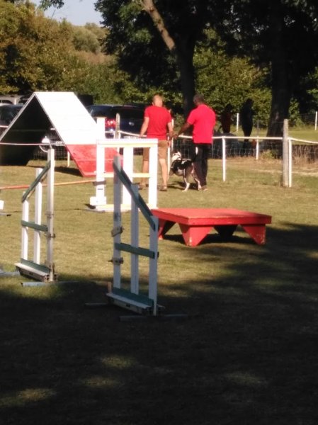 Chien de Police de Corbas Agility - photo 2
