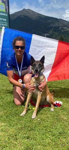 Dog school agility - photo 1