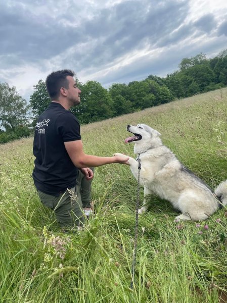 CANILYON - EDUCATEUR CANIN COMPORTEMENTALISTE - photo 1