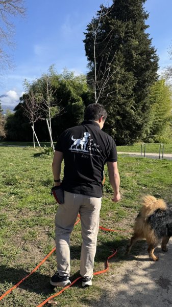 La Tribu Canine - Educateur comportementaliste canin sur Chambéry - photo 1