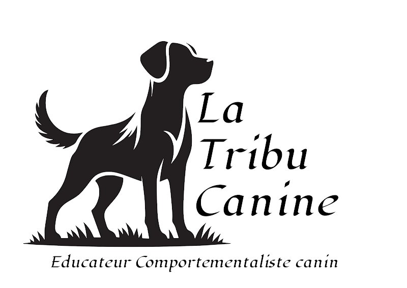 La Tribu Canine - Educateur comportementaliste canin sur Chambéry - photo 2
