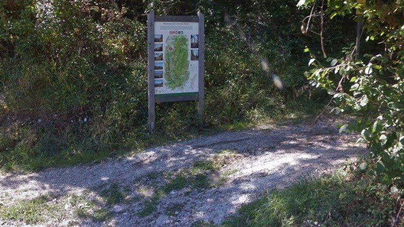 Emulation Canine Chamberienne - photo 1