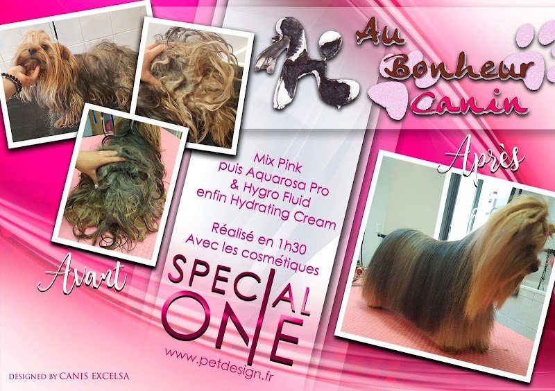 Au bonheur canin & felin La ravoire - photo 3