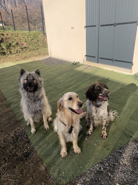 CHAPITRECANIN - photo 2