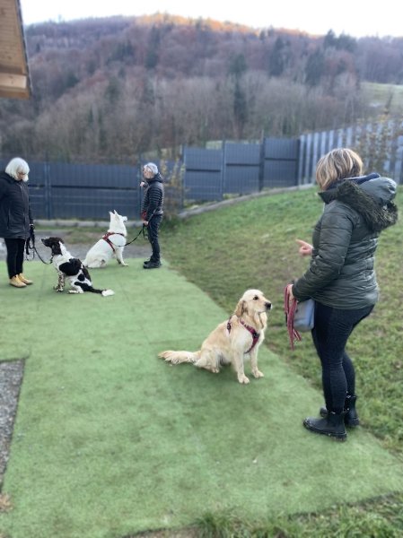 CHAPITRECANIN - photo 3