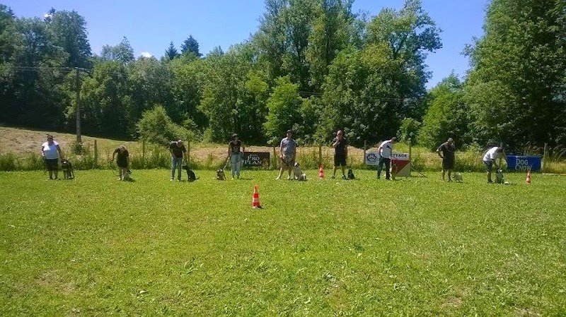 Cercle Cynophile de Marlens - photo 1