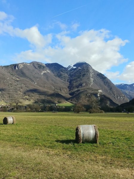 Cercle Cynophile de Marlens - photo 3