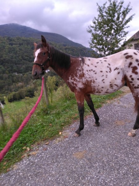 Wendy comportementaliste - photo 2