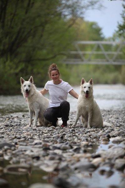Chiens du Chéran - photo 1