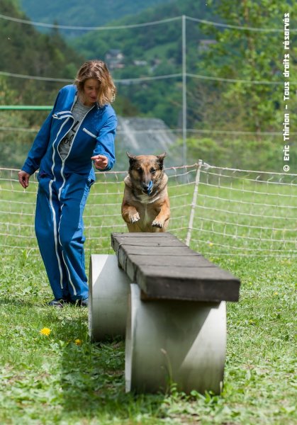 Section canine de recherche Villarlurin - photo 2
