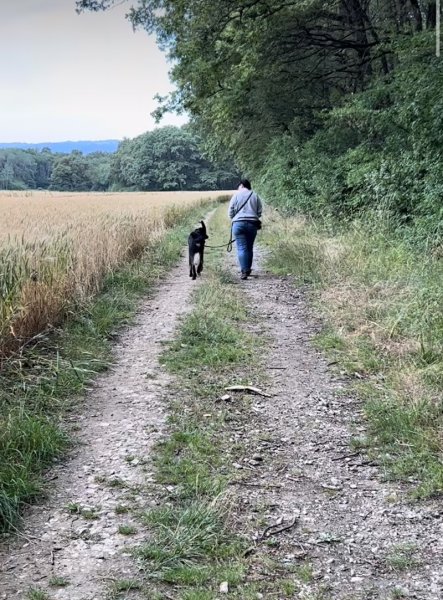 Les P'tites Biches - Education canine - photo 3