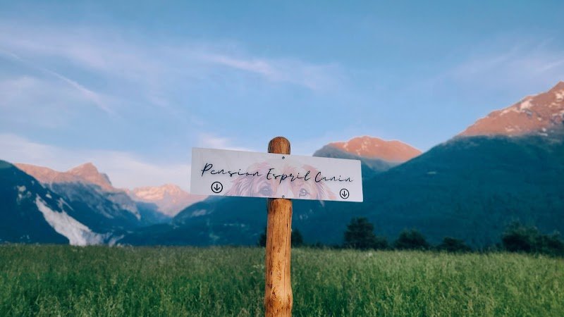 Pension Esprit Canin - Haute Maurienne Vanoise - photo 2