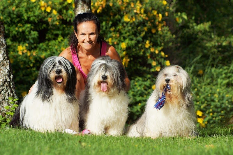 Services Canins J•A•D•O•R - photo 1