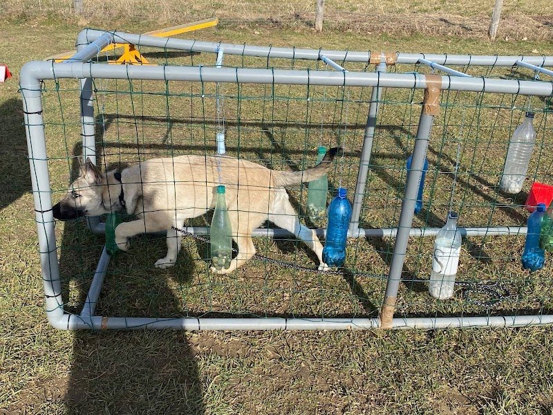 Services Canins J•A•D•O•R - photo 3