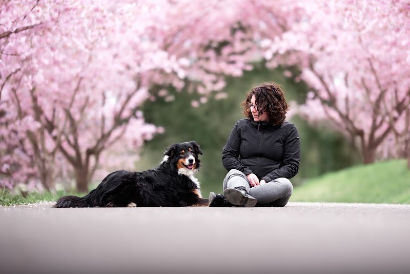 Complici'mots - Education canine spécialiste chiot à Annecy-Seynod - photo 1