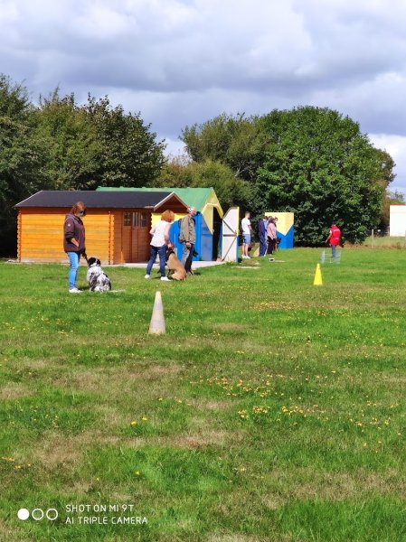 Club d'éducation canine de l'aigle - photo 2
