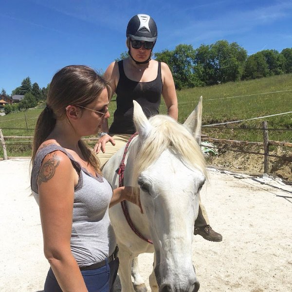 Alison Bouvier Comportementaliste équin & Acupuncture - photo 1