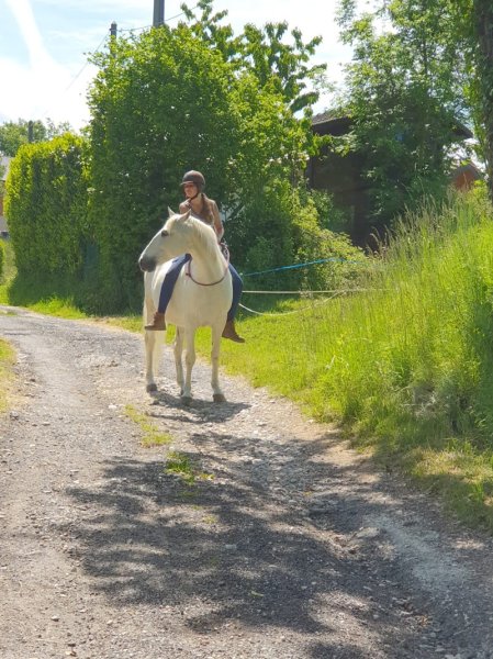 Alison Bouvier Comportementaliste équin & Acupuncture - photo 2