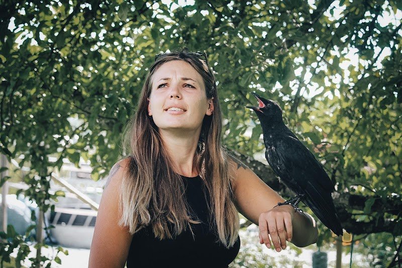 Alison Bouvier Comportementaliste équin & Acupuncture - photo 3