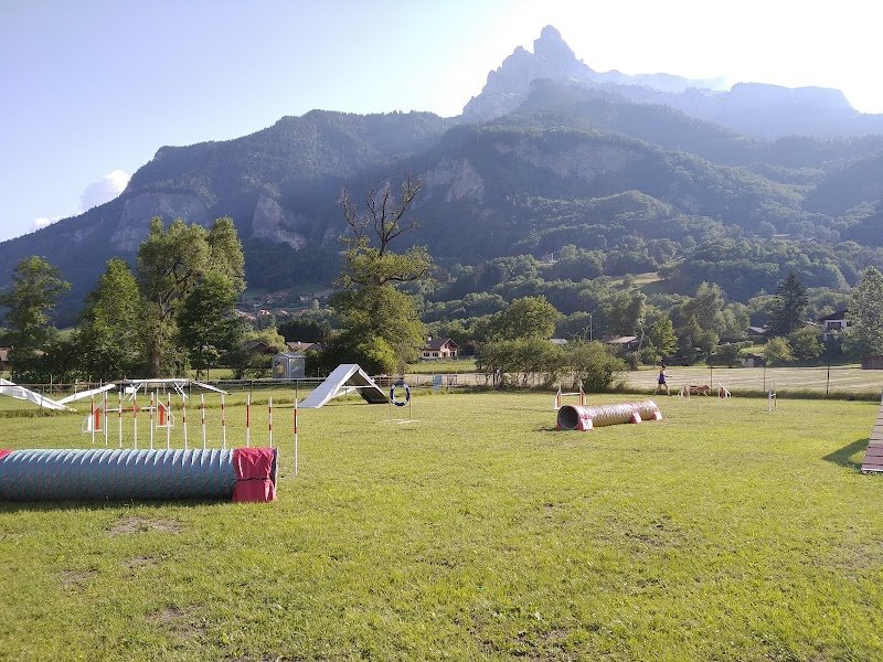 Club du Chien d'Utilisation du Mont-Blanc - photo 1