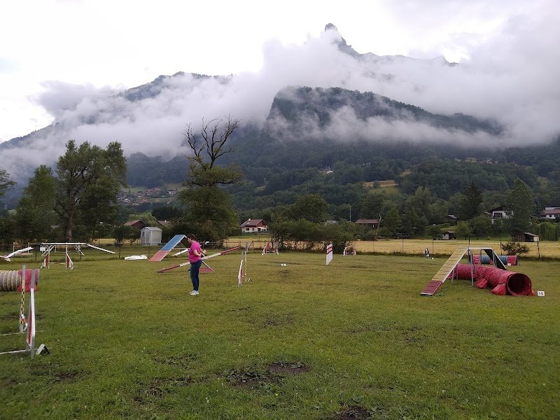 Club du Chien d'Utilisation du Mont-Blanc - photo 2