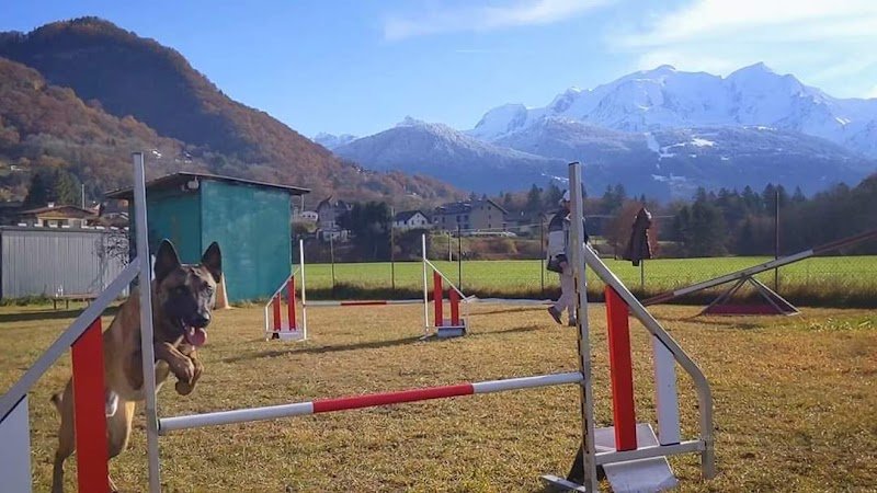 Club du Chien d'Utilisation du Mont-Blanc - photo 3