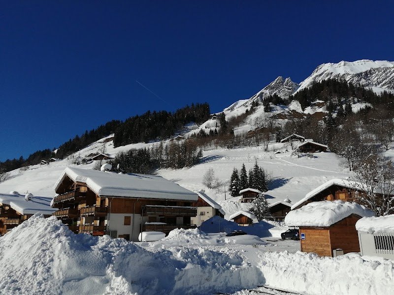 Chiens de traîneaux - Benjamin GROSDAILLON - photo 3