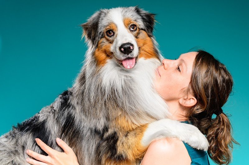 Pattes à Maudeler - Education canine Annecy - photo 1