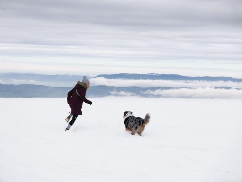 Pattes à Maudeler - Education canine Annecy - photo 3
