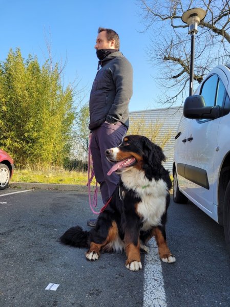 jb l'éducateur canin à domicile.