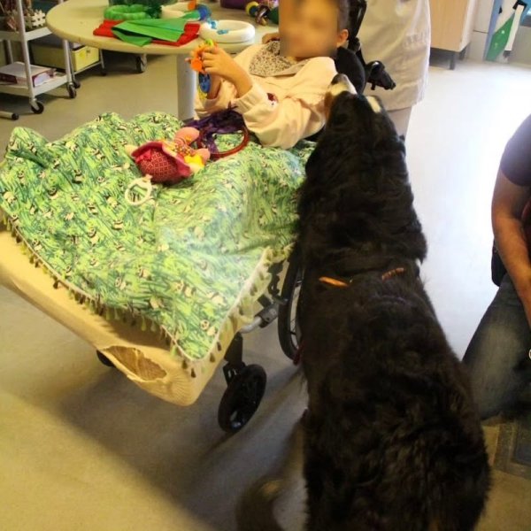 jb l'éducateur canin à domicile. - photo 3