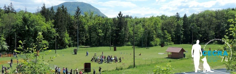 CECRA - Club d'Education Canine de la Région Annecienne - photo 1