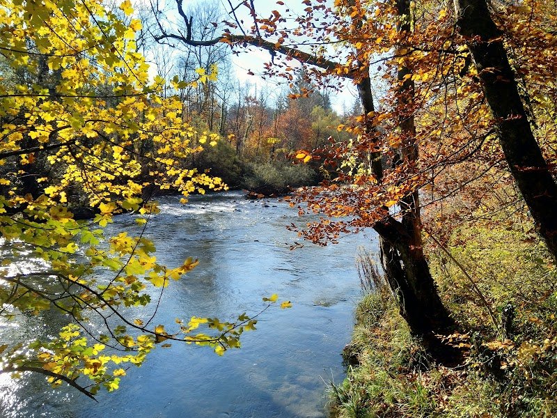 CECRA - Club d'Education Canine de la Région Annecienne - photo 2
