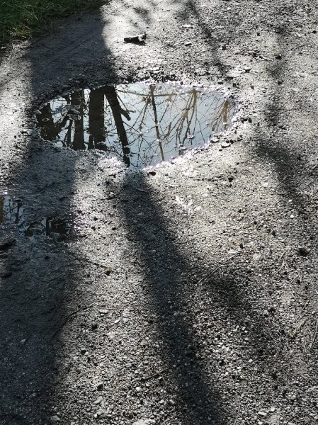 CECRA - Club d'Education Canine de la Région Annecienne - photo 3