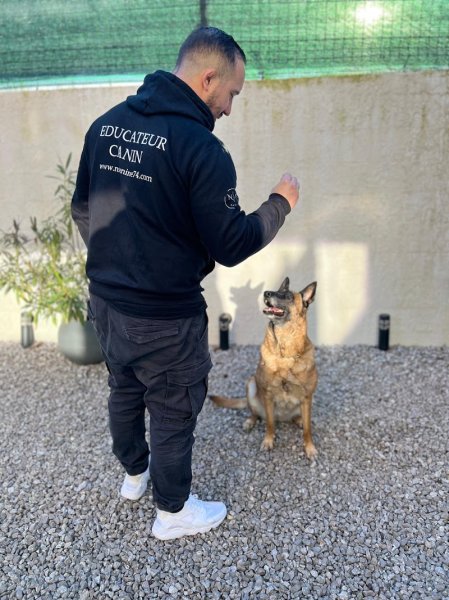 NS Canine 74 - photo 2