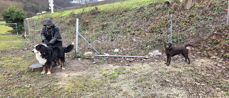 Entente Canine Etrembieres - photo 1